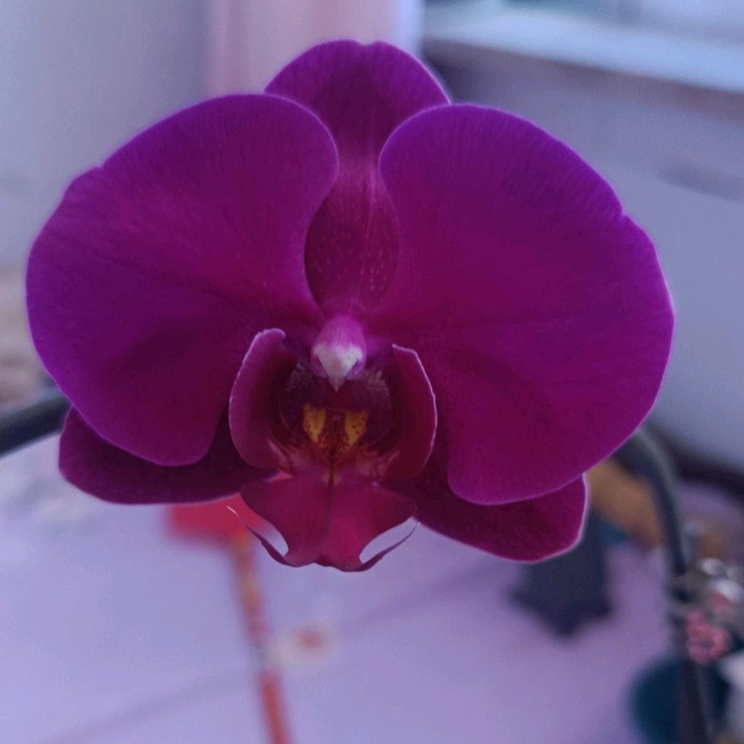 你通讯录里的好友。