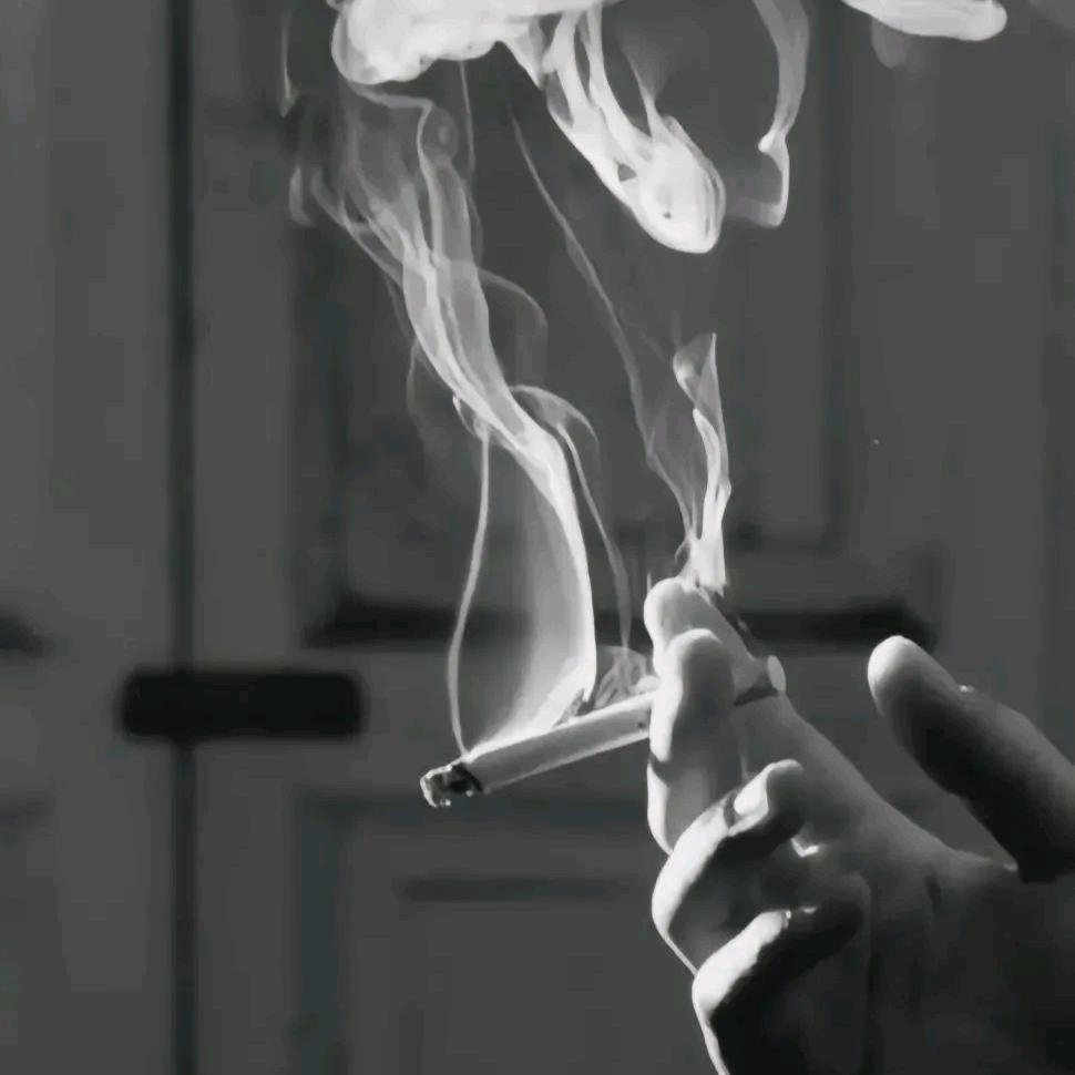 辉辉