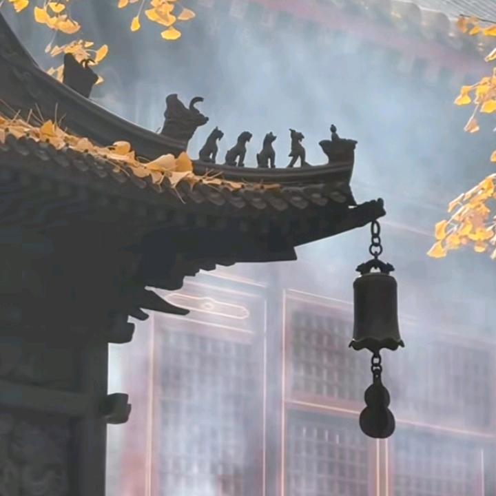 道法自然