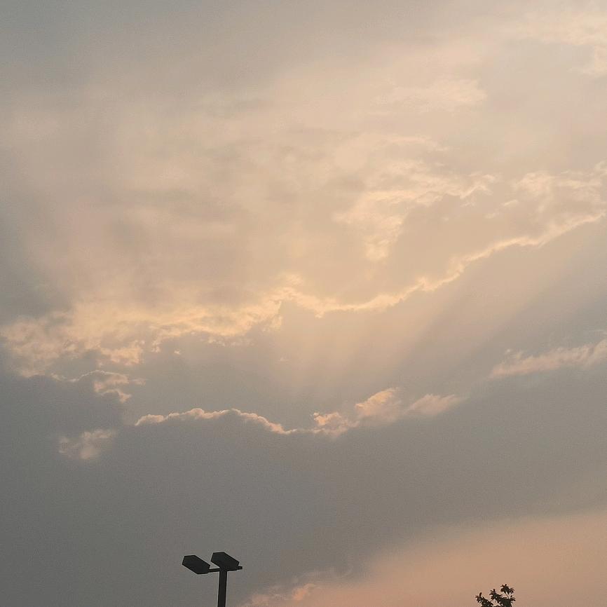 船长要上网冲浪