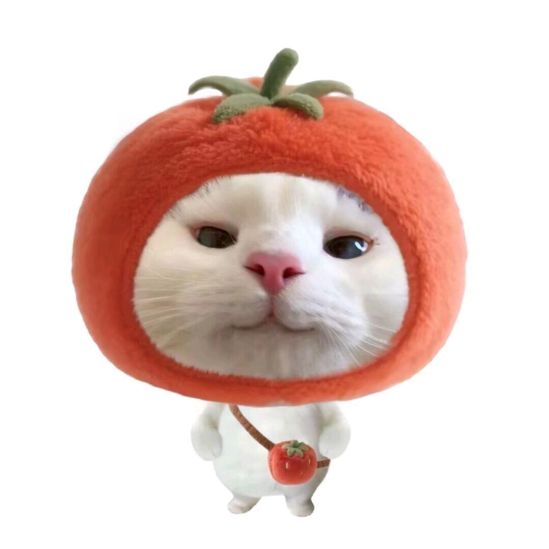 然而，然而。