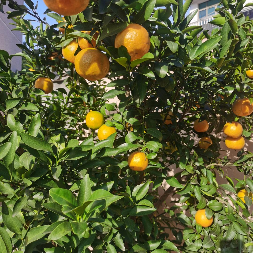 我是泽泽奶奶