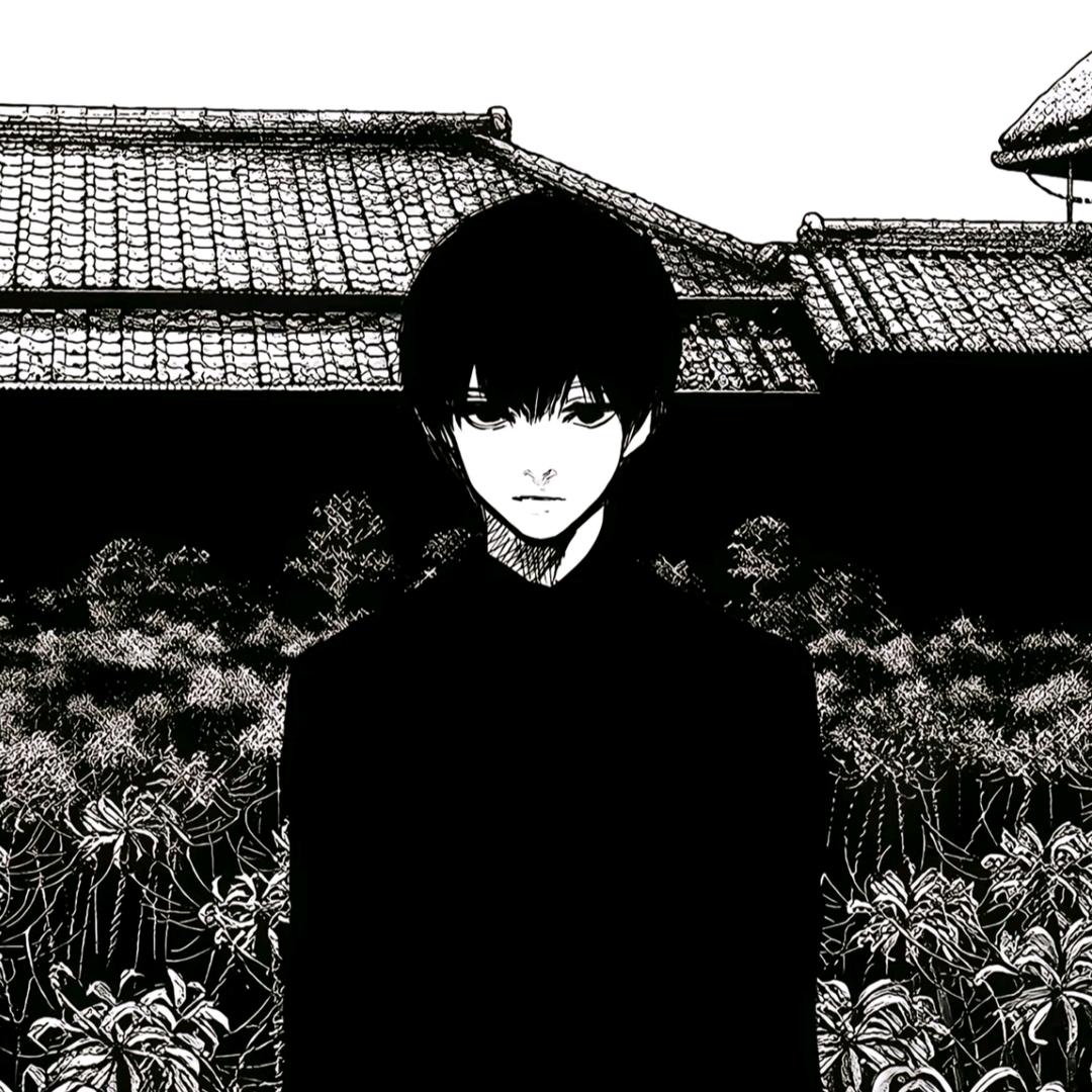 韶月