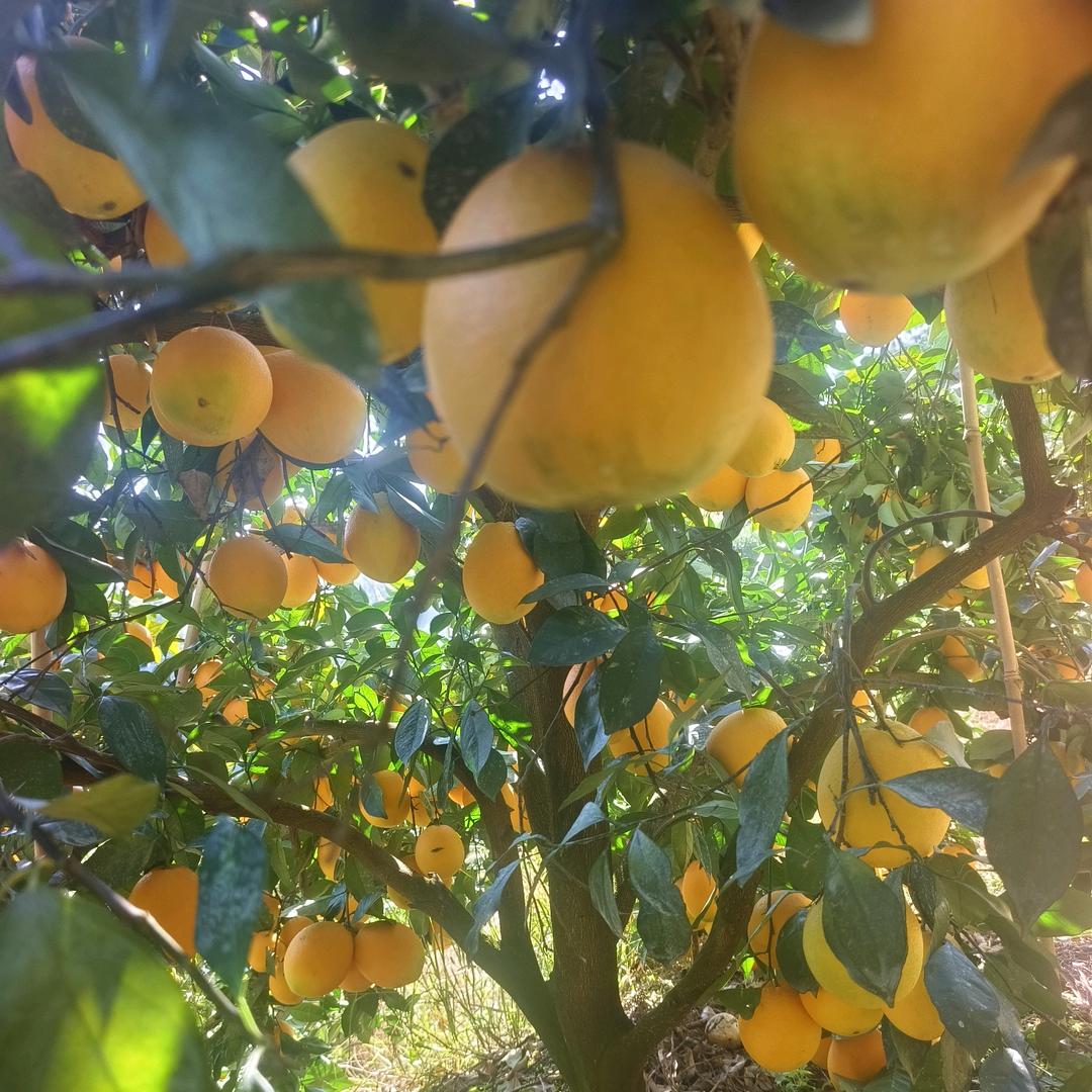 一生牛马不得闲，得闲去以山共眠