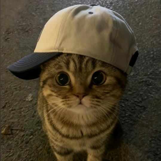 你潮吧？