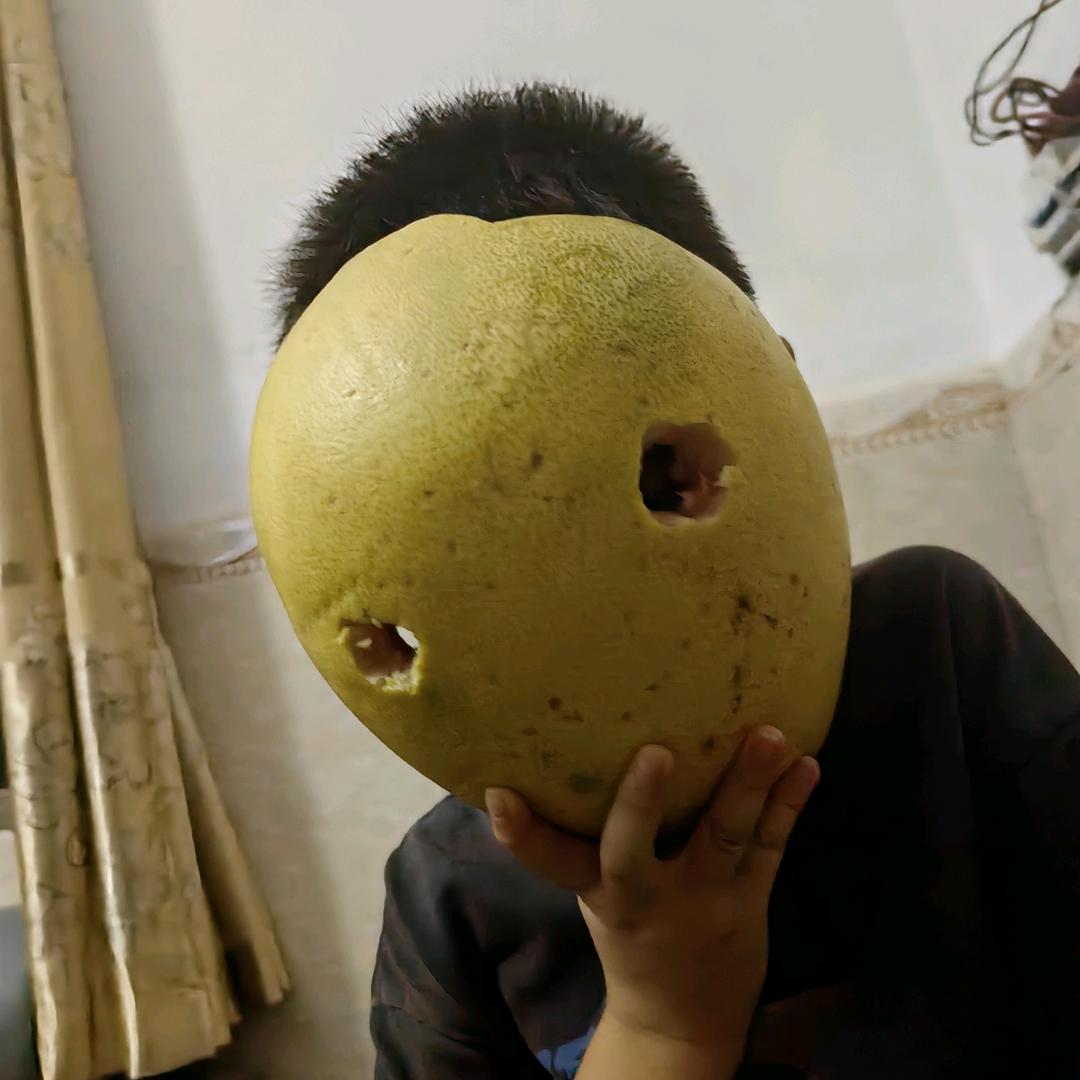 铭晨GOGO