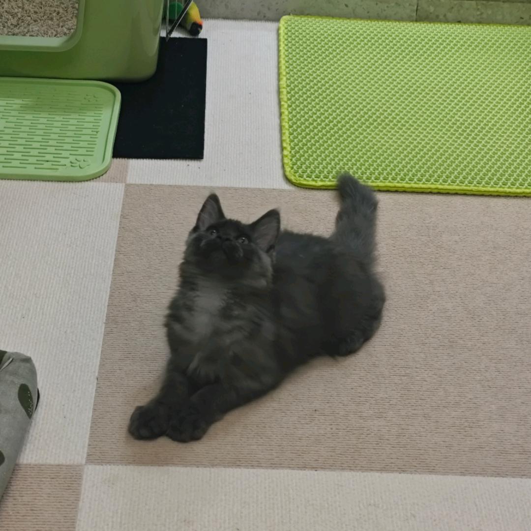 觉觉也要