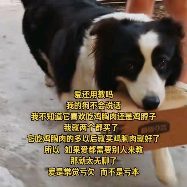 上海智多帮家居科技有限公司
