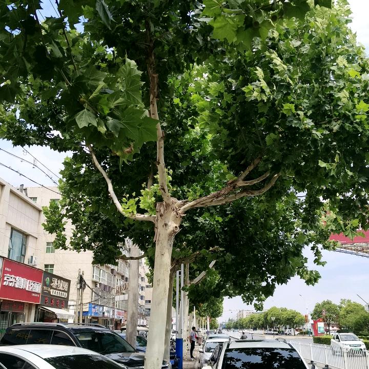 开❤️的朋友👬🍂🍁