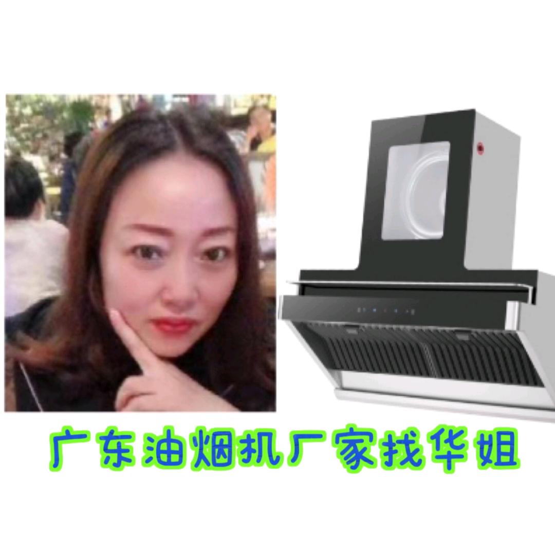 广东中山油烟机厂家找华姐