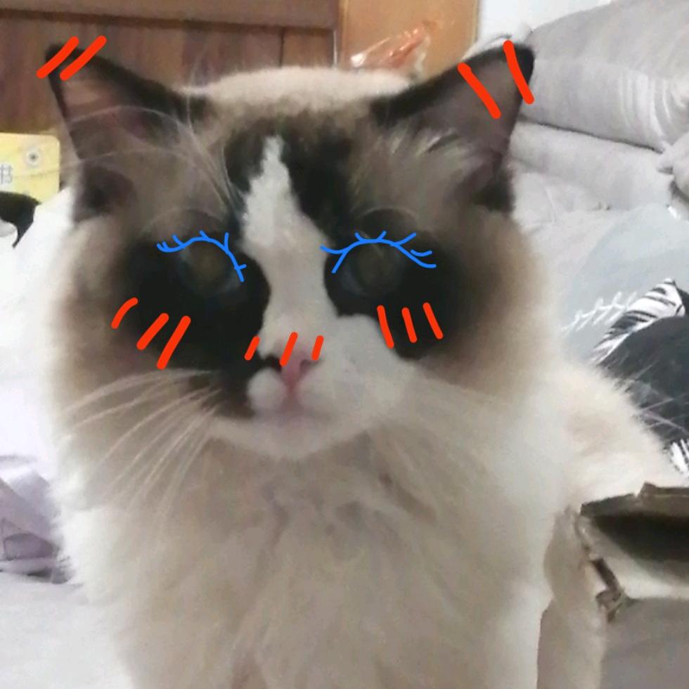 可以