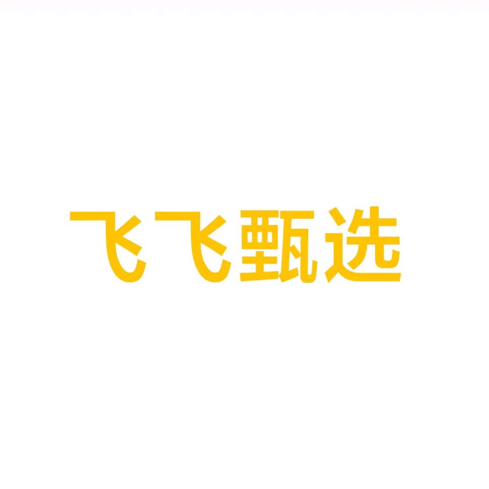 飞飞优选百货