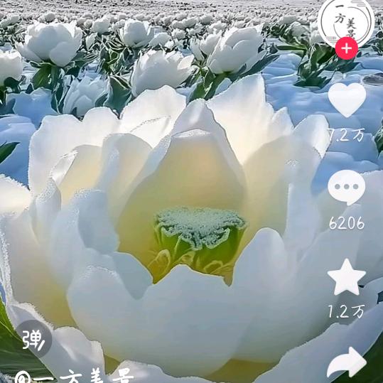 静姐(首播)