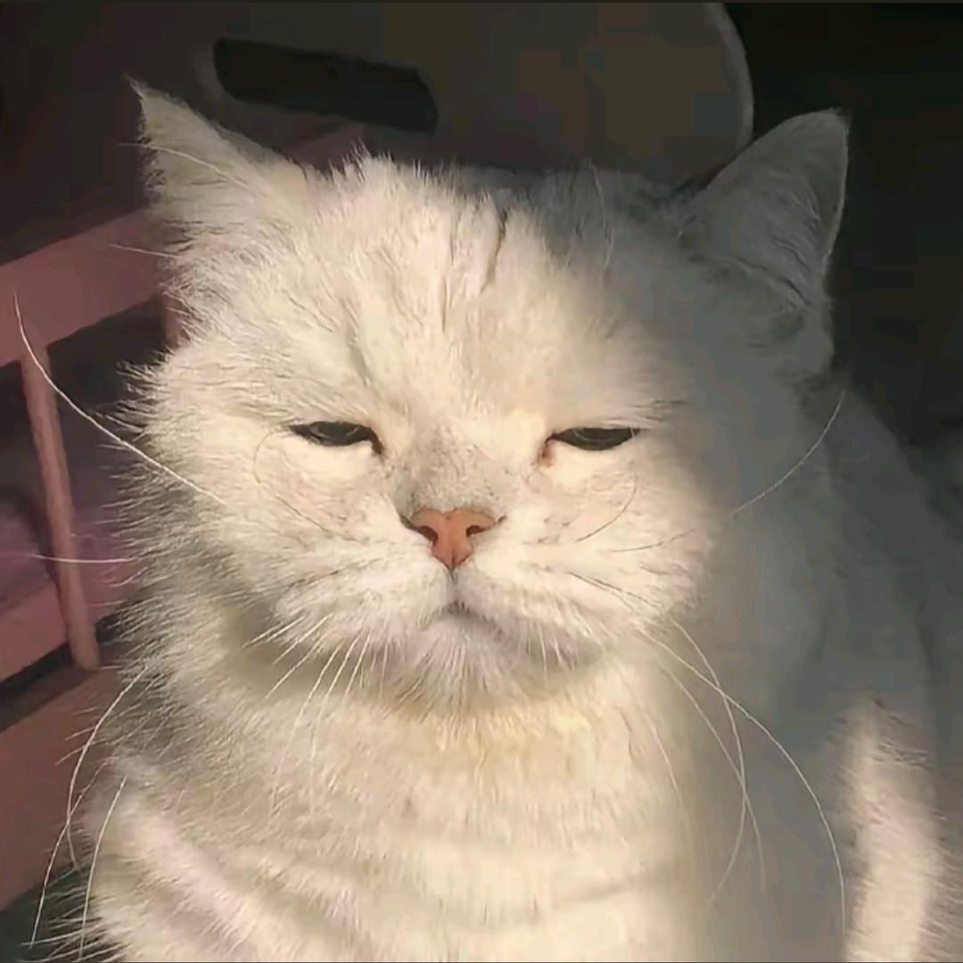 对A