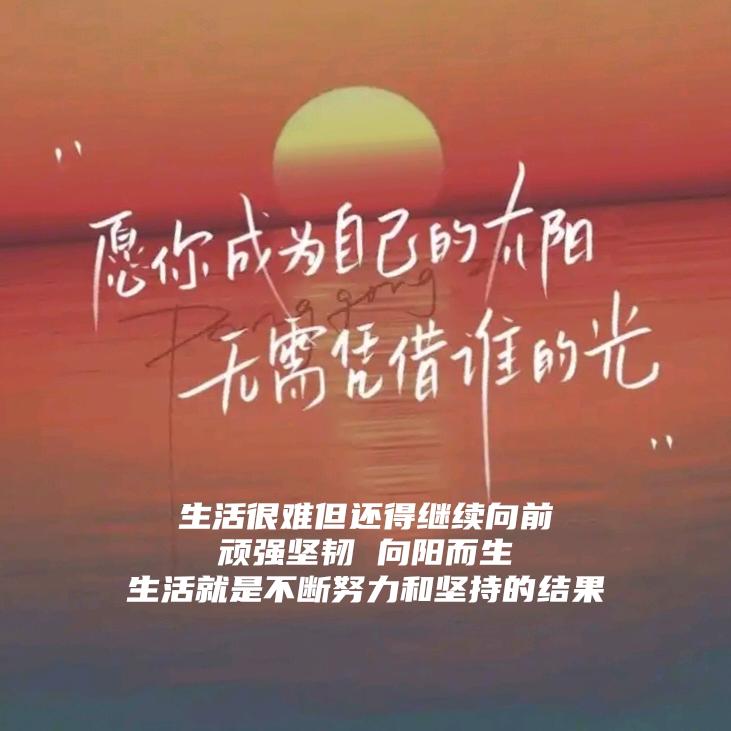 ✊️帅哥哥🤟🤟