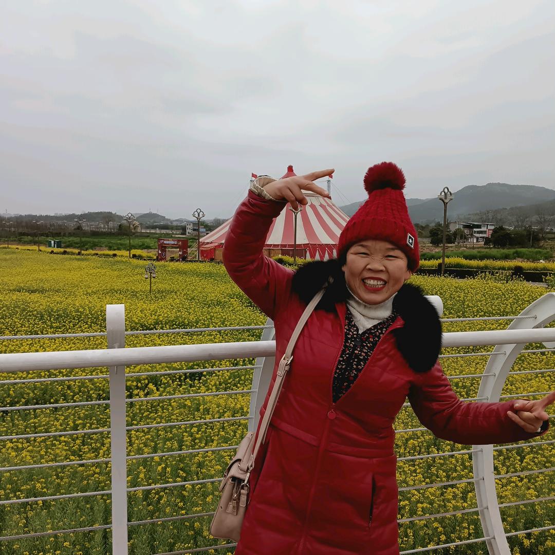 太阳花（中午十二点半直播）