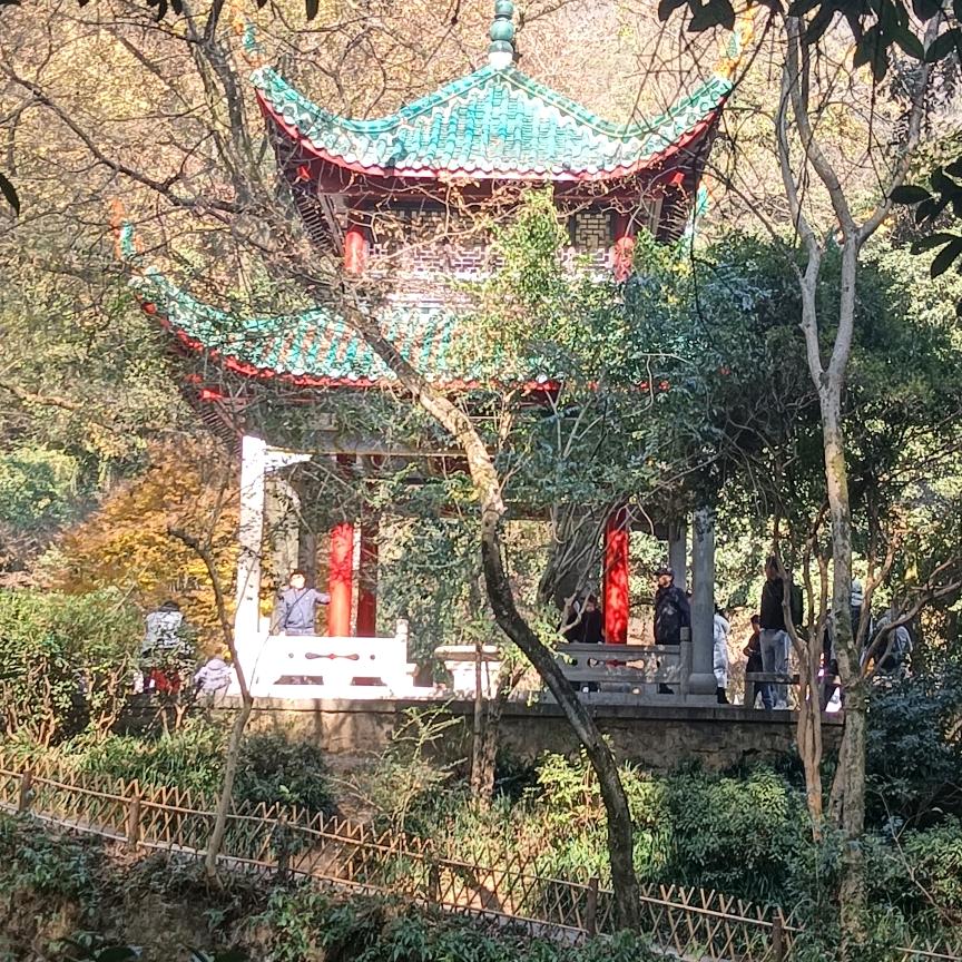 歌依旧