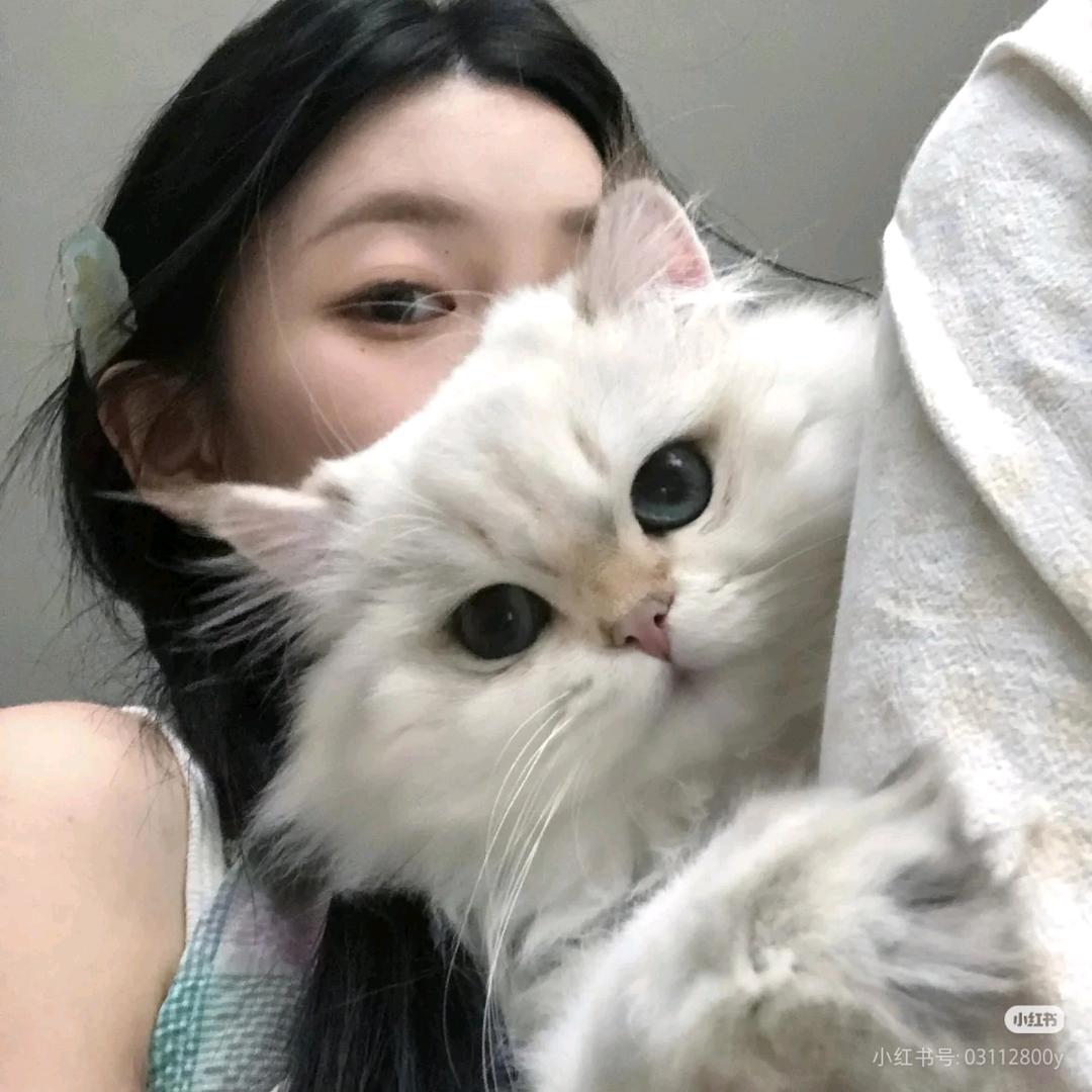 黄犇犇