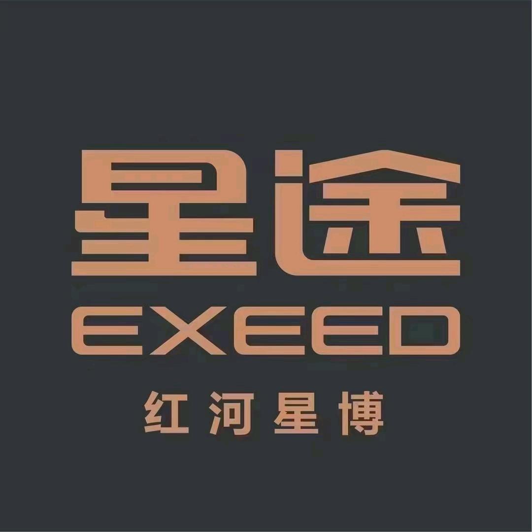 星途汽车王思琪