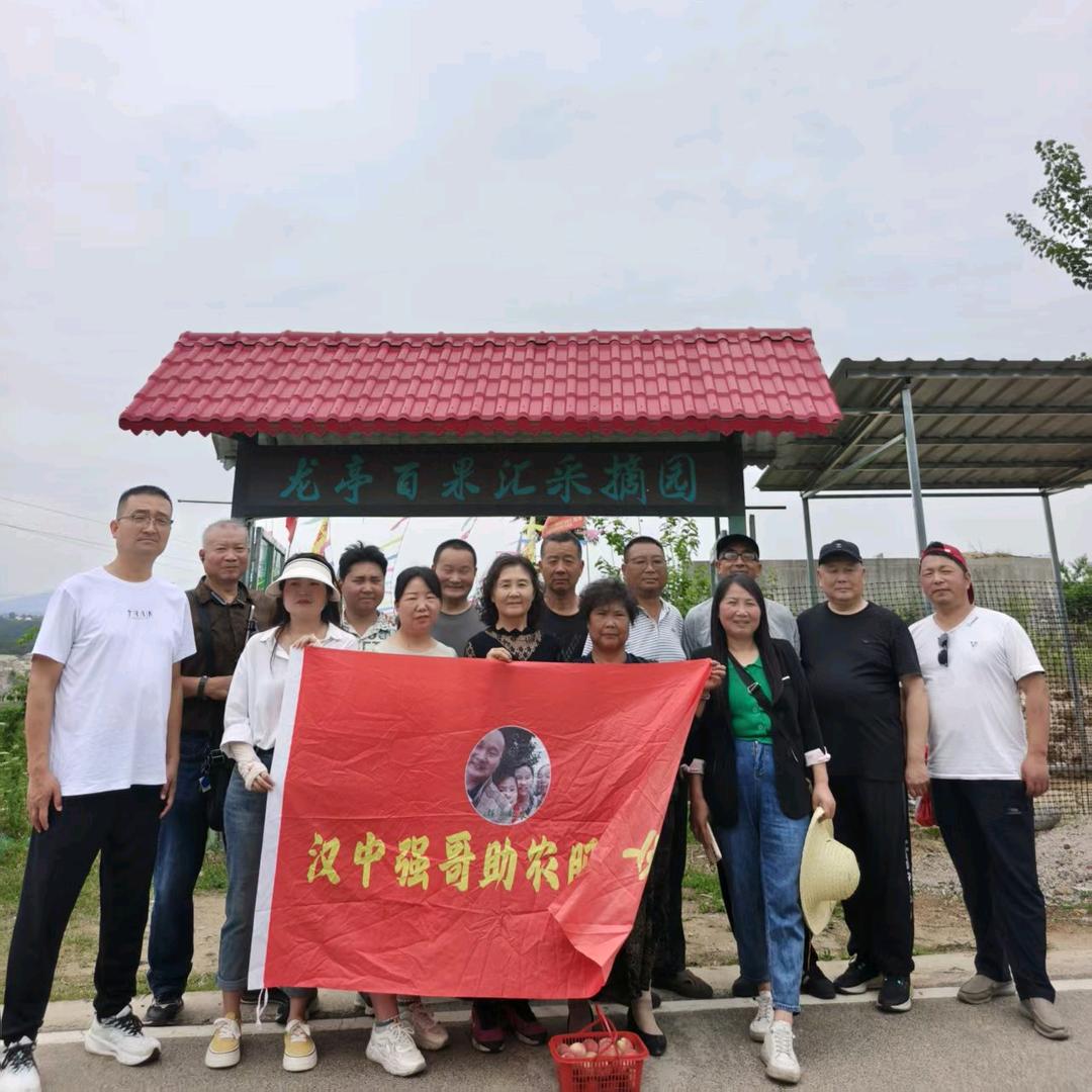 汉中强哥助农服务队