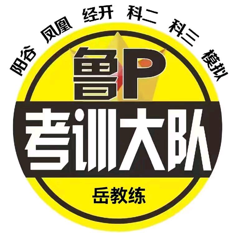 聊城凤凰工业园科目三模拟包车