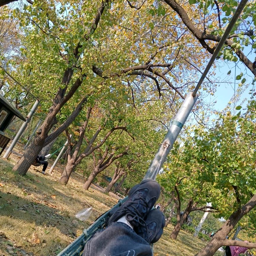 焦糖布丁