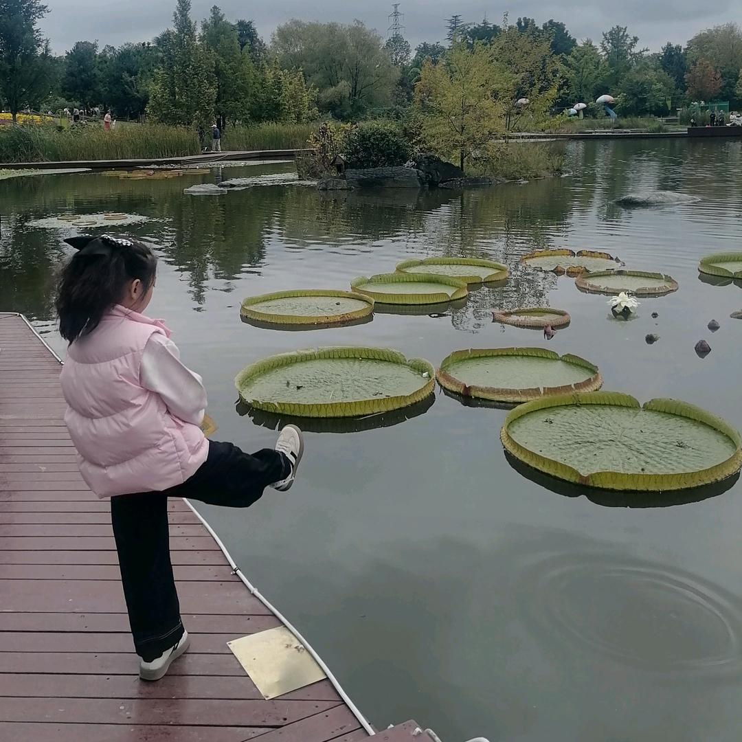 ☘️花落无声☘️