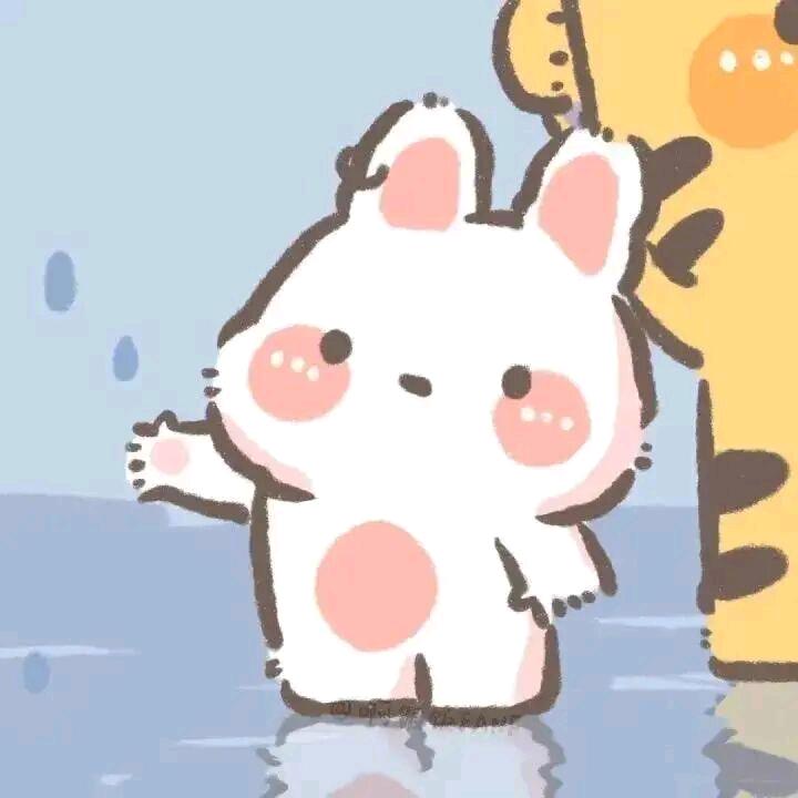 小怪熊