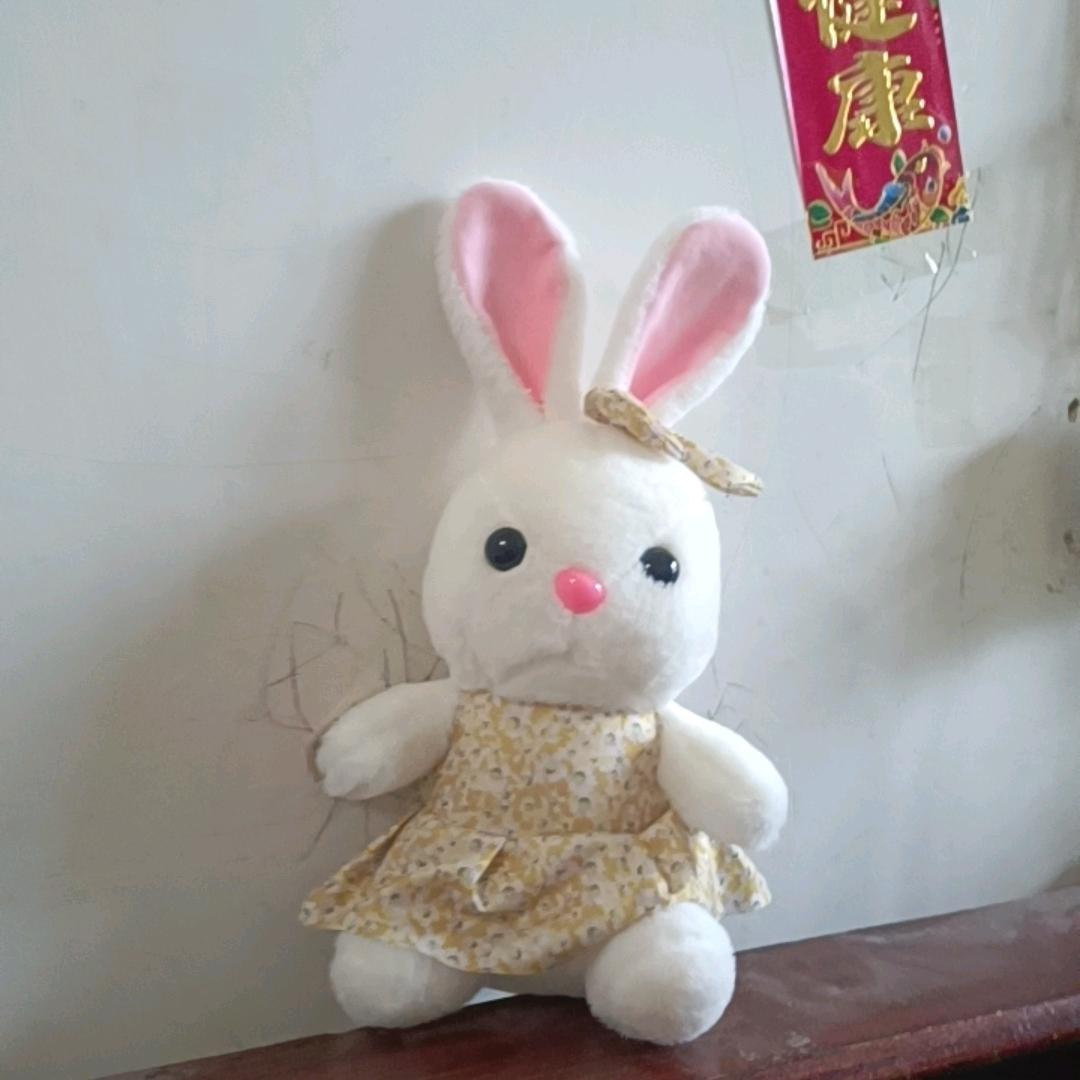 心想事成