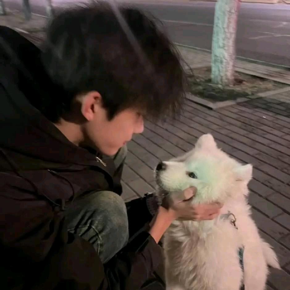 青青草原银角大王🏓