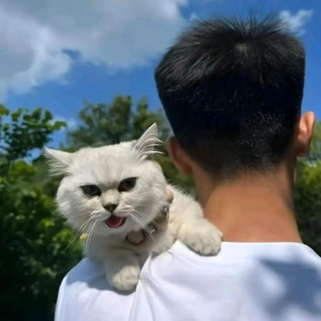“毒…液”