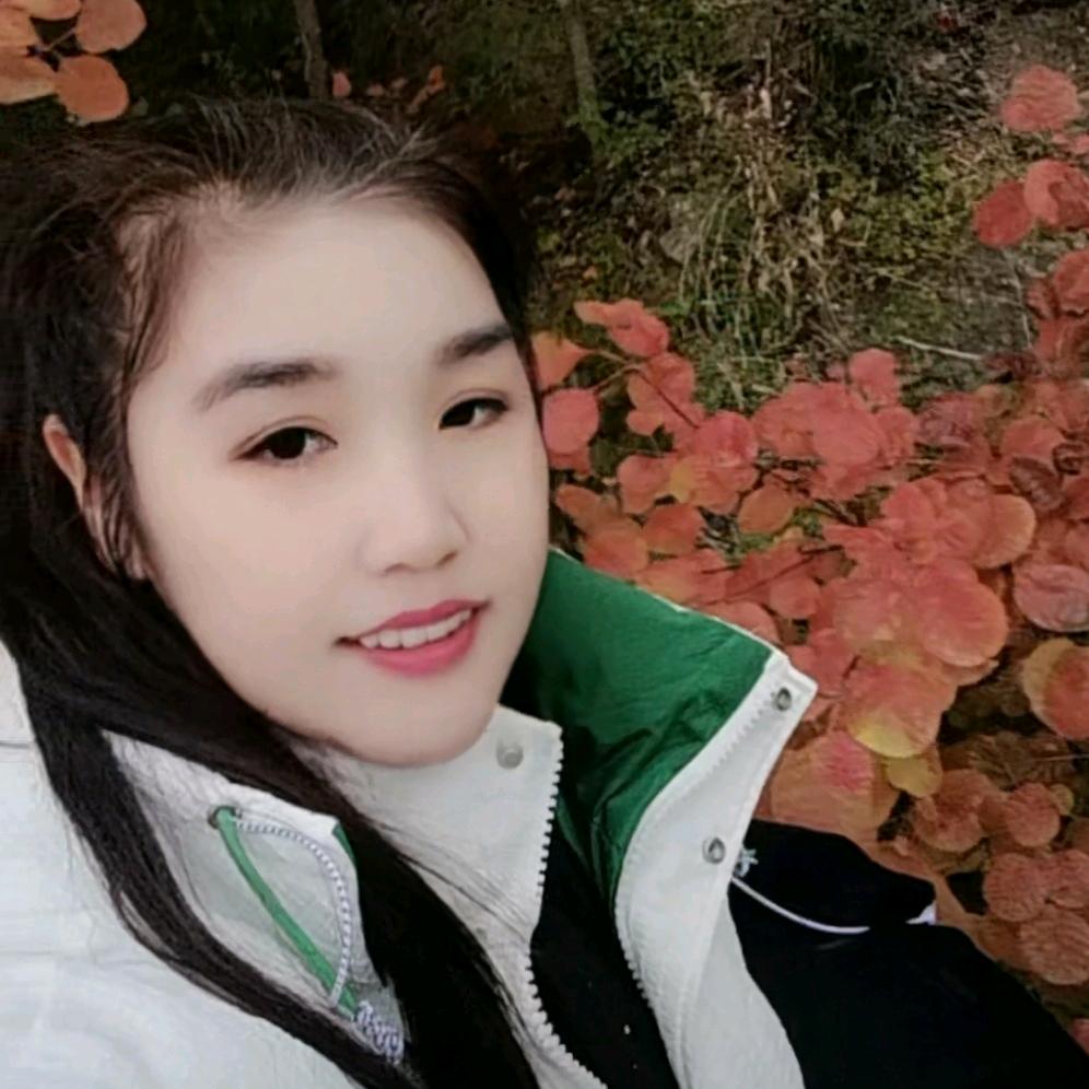 @燕子