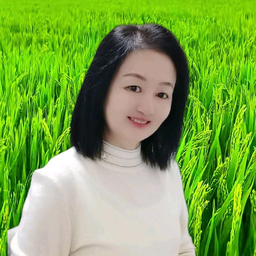 珍妮姐