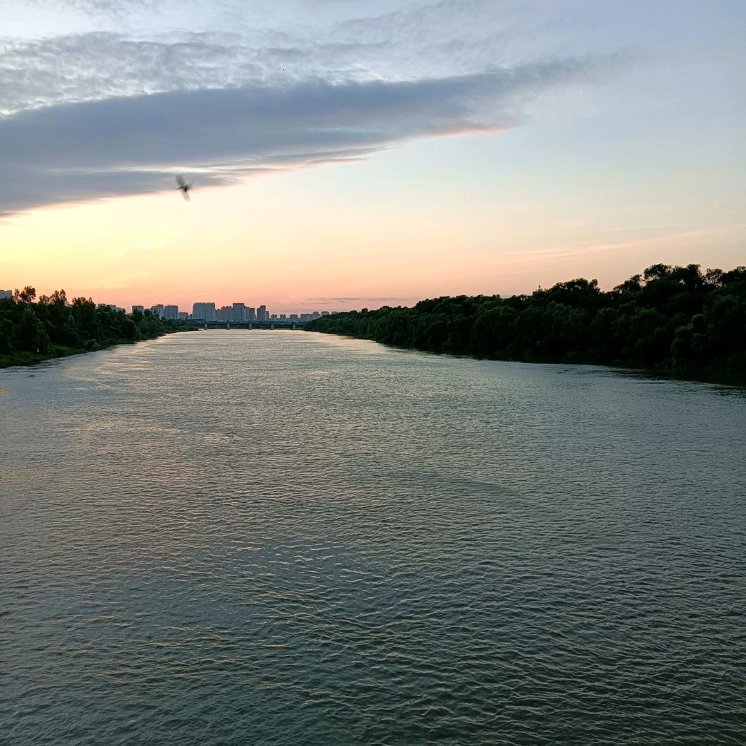 八爪鱼麻麻👩🏻