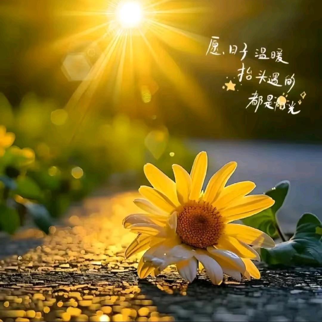 a风吹哪页读哪页