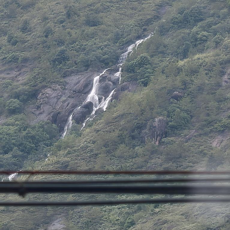 黄柠檬
