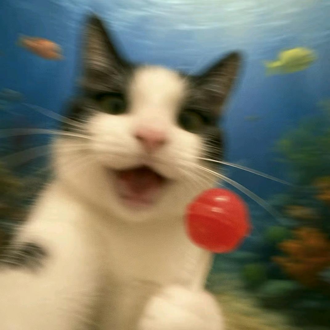 写辰星