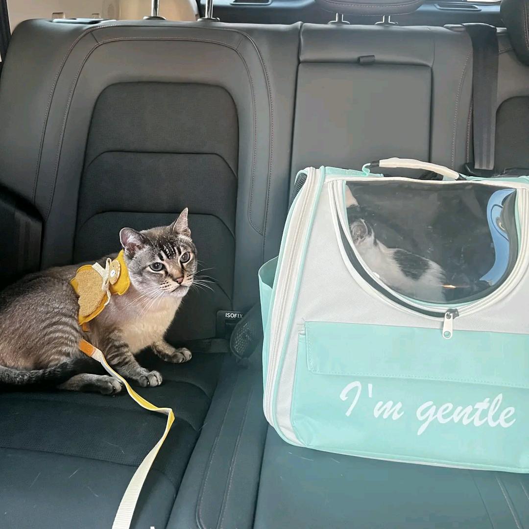 𝙀𝙪𝙙𝙤𝙧𝙖🐈‍⬛.维卡斯