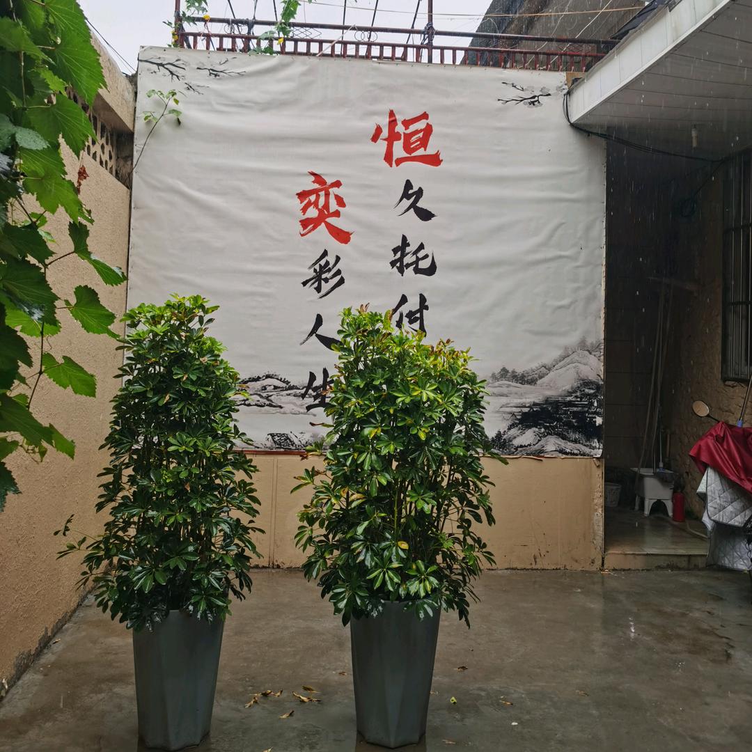 李君（李会计）