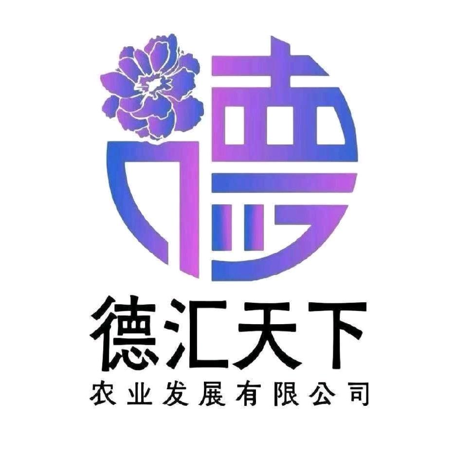 德汇天下—邢老师