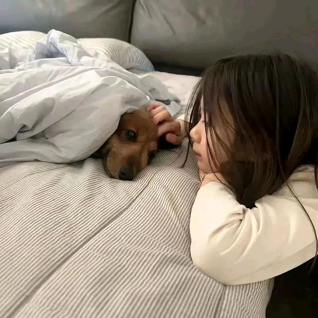 痛忆.