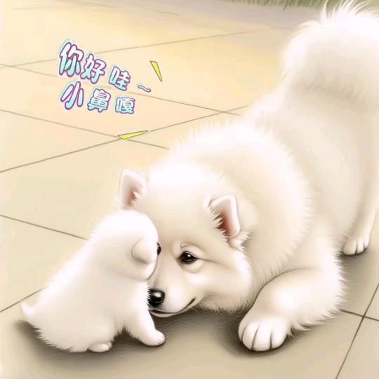 弦💞心