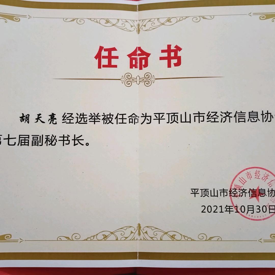 中平煤商