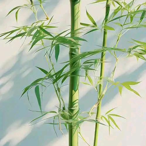文韬武略