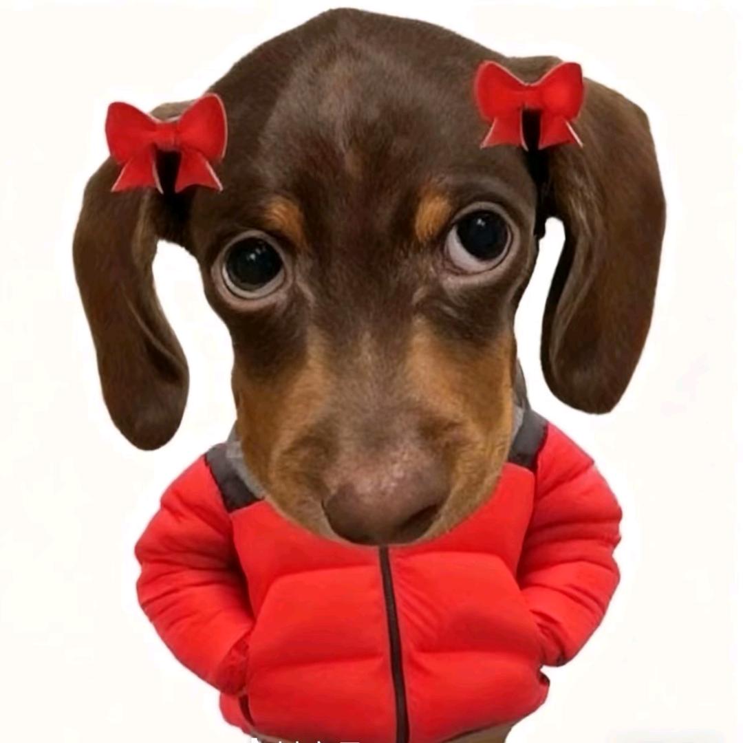 呆呆🌝