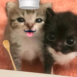 gacha小琦