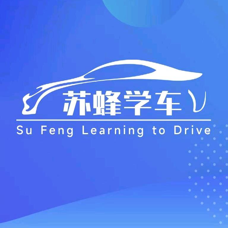 苏蜂学车·杨老师