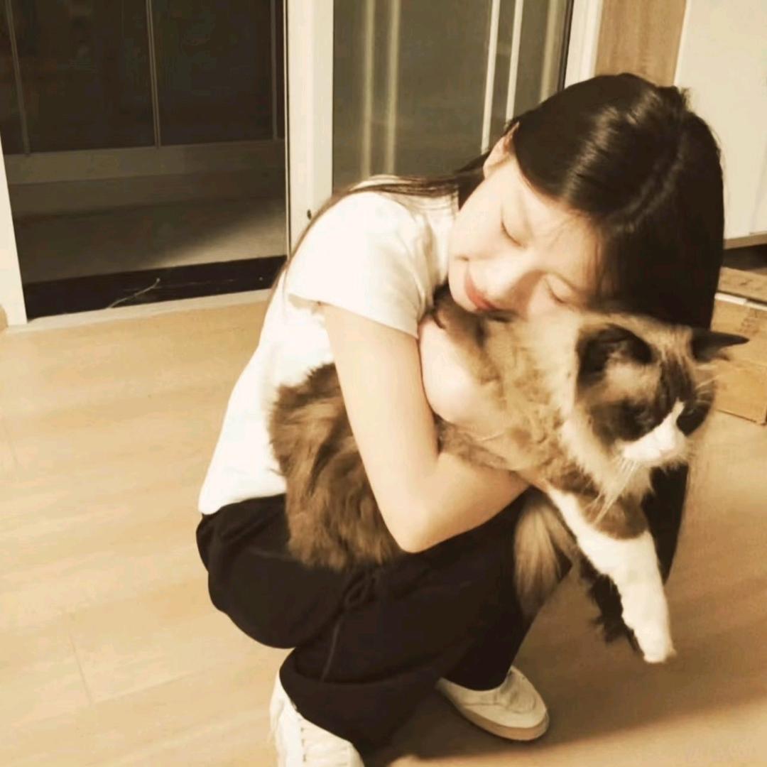 -没有烦心事.🌰