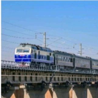 不正经的豆段长（甲流版🤓）