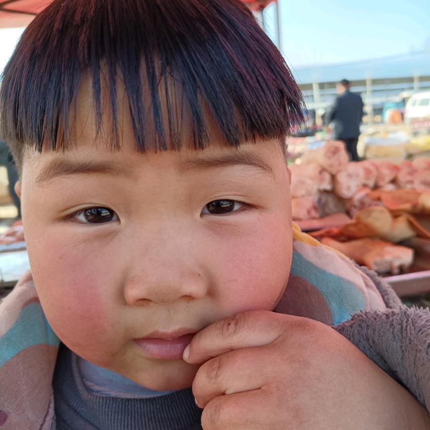 山东蒜种大青颗太空早熟蒜种有太空中熟蒜种